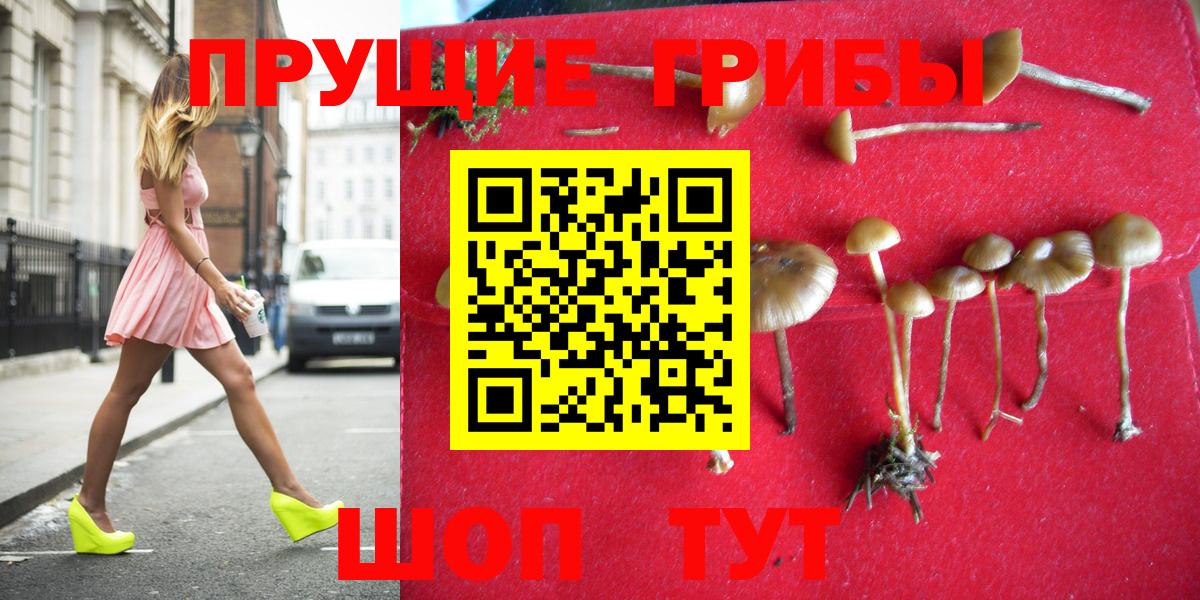 Галлюциногенные грибы мухоморы Краснокаменск